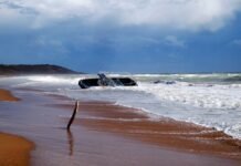 High Profile Trial of Ukrainian Officer Begins