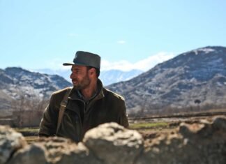 Who Should Pay for Prison Beds?